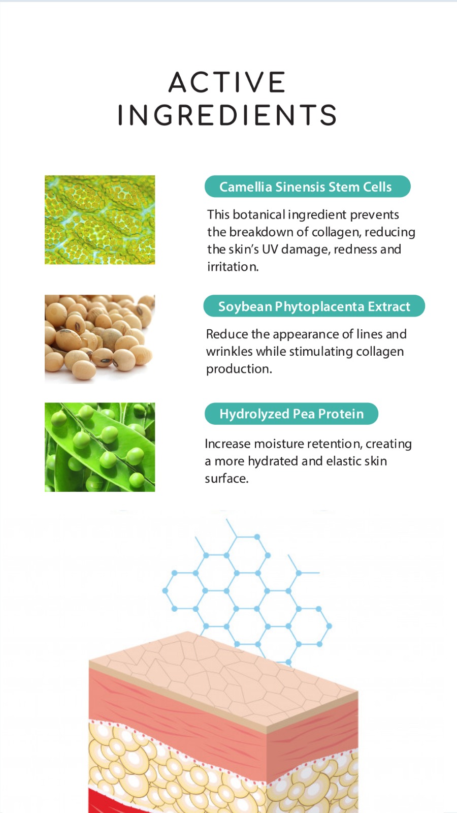 Active Ingredient