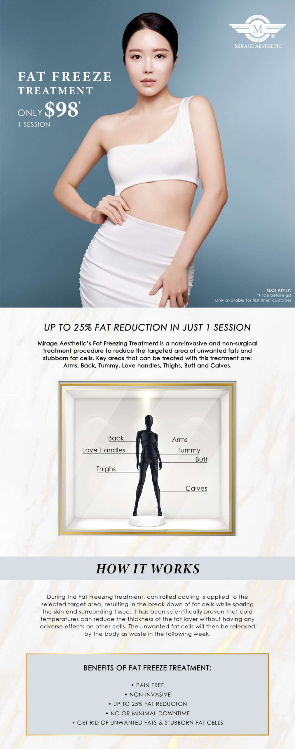 fat freeze info scaled